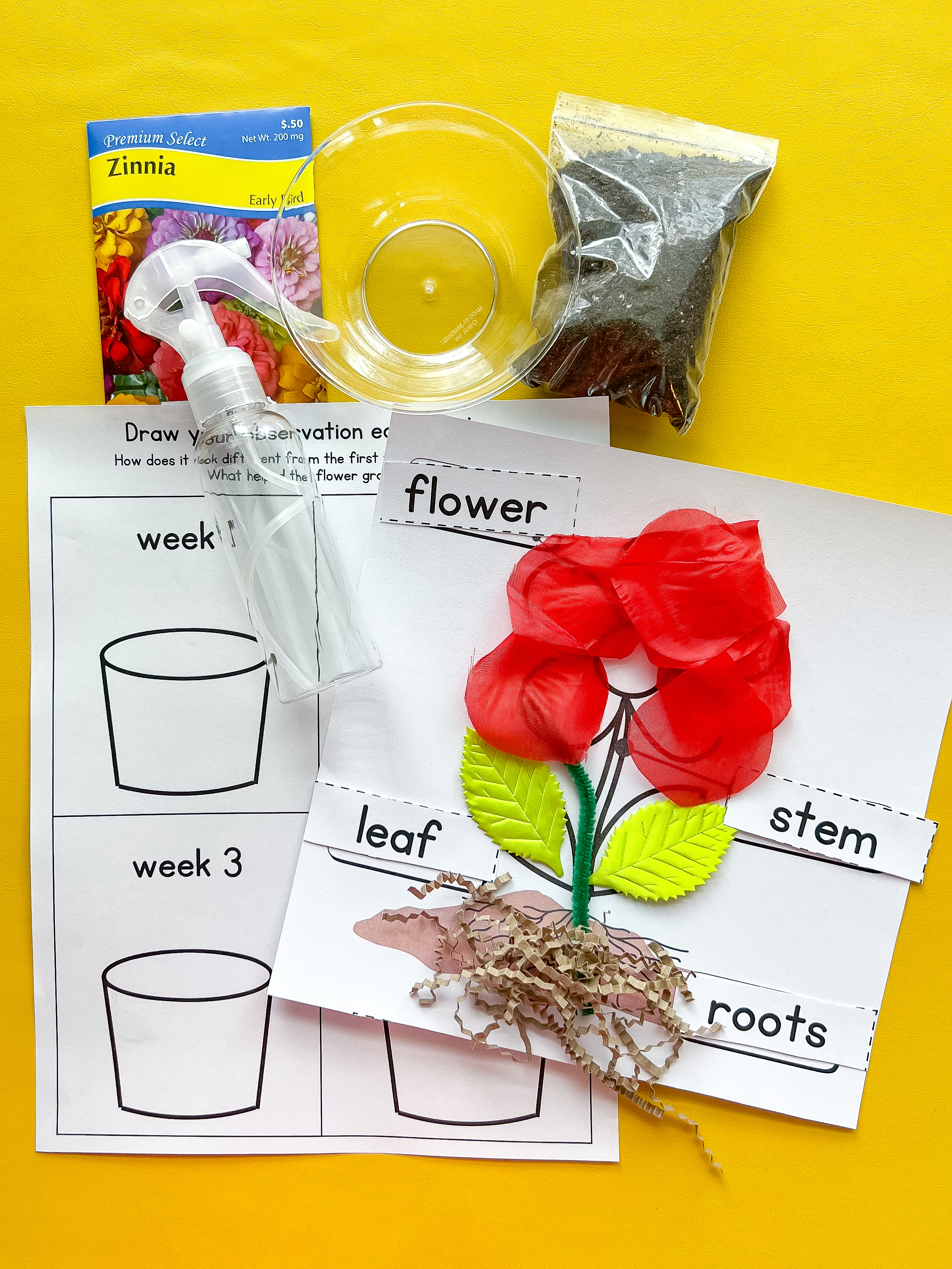 May PreK Box One-Time Purchase