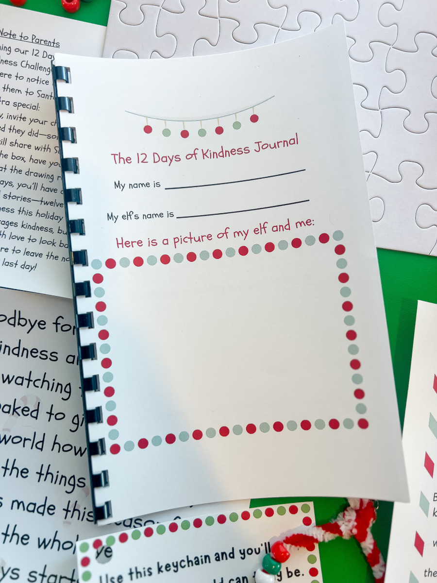 The Kindness Elf Kit