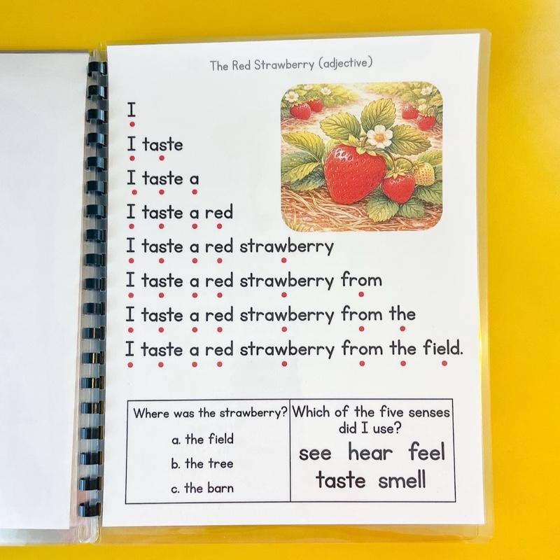 Fluency on the Farm for Emerging Readers Stair Step Reading Book 