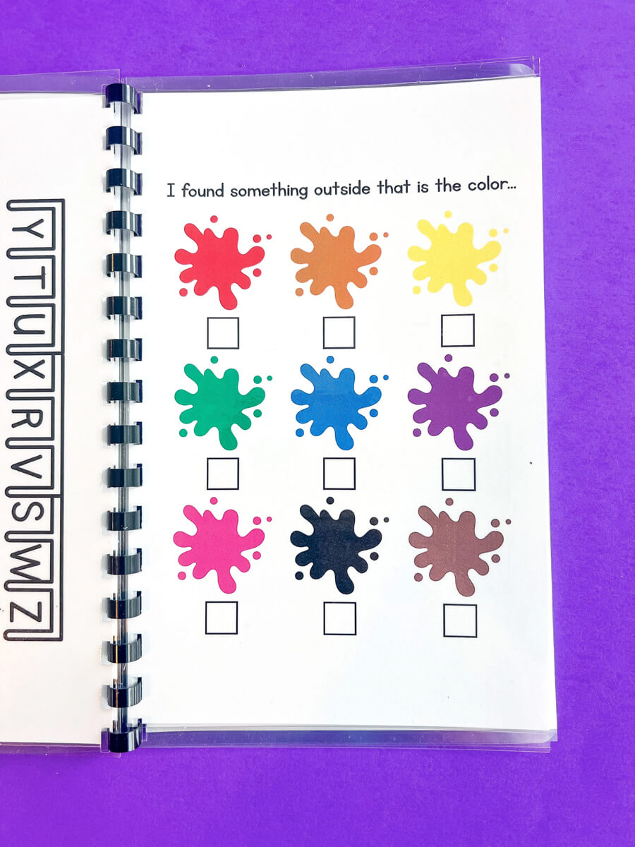 Wheels and Brains In Motion