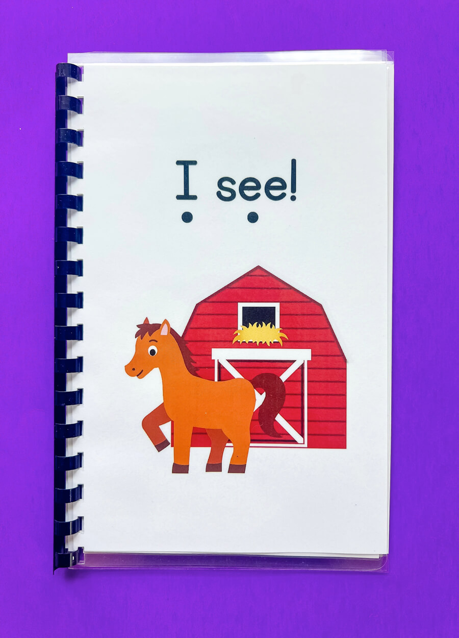 Emergent Reader Beginner Books Set of 5