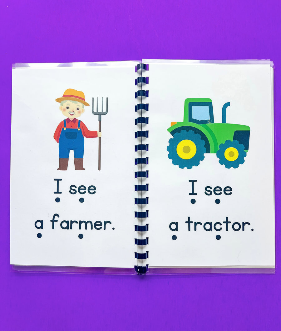 Emergent Reader Beginner Books Set of 5