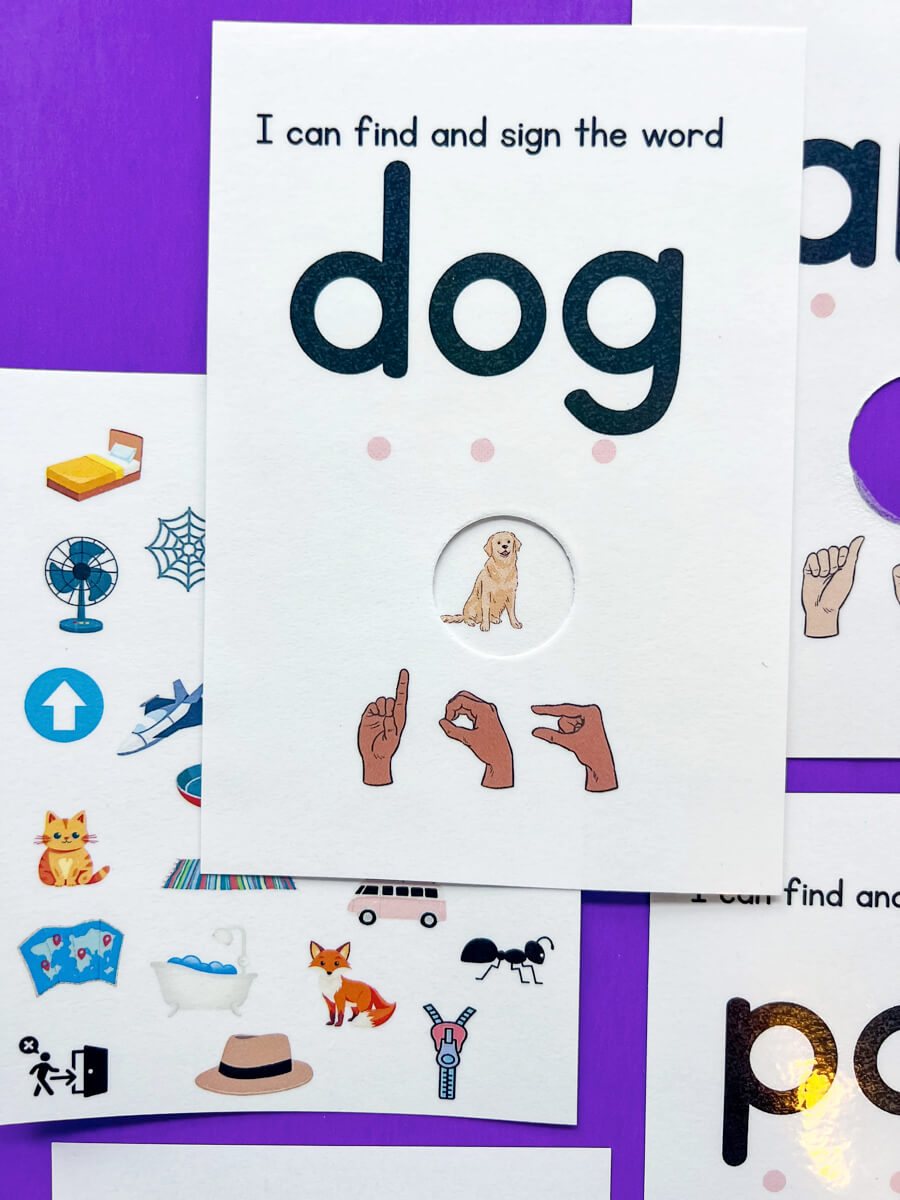 CVC search and find flashcards. Sound it. Sign it. See it.