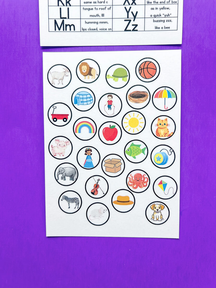 Peek and Match Phonics Cards - Beginning Sounds