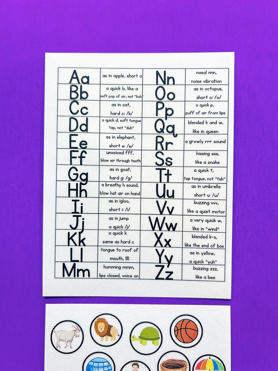 Peek and Match Phonics Cards - Beginning Sounds